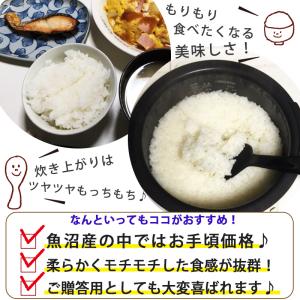 令和7年産 米 5kg 魚沼産コシヒカリ 八海...の詳細画像1
