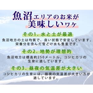 令和7年産 米 5kg 魚沼産コシヒカリ 八海...の詳細画像2