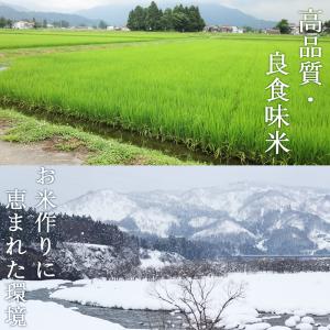 令和7年産 米 5kg 魚沼産コシヒカリ 八海...の詳細画像3