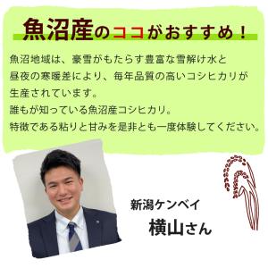 令和7年産 米 5kg 魚沼産コシヒカリ 八海...の詳細画像4