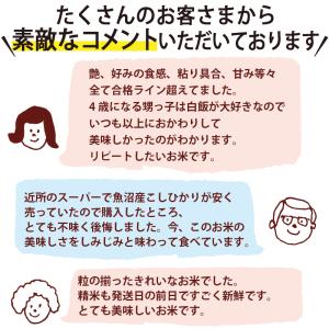 令和7年産 米 5kg 魚沼産コシヒカリ 八海...の詳細画像5