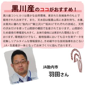 お米 5kg 送料無料 新潟黒川産コシヒカリ ...の詳細画像4