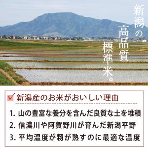 【家計応援!8月お買い得品】送料無料 無洗米 ...の詳細画像2