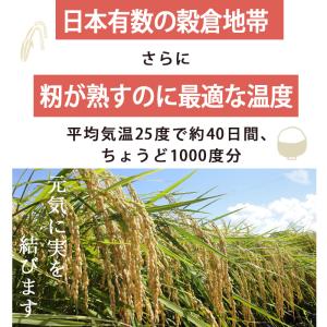 【家計応援!8月お買い得品】送料無料 無洗米 ...の詳細画像3