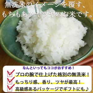 【11時までのご注文で即日発送!!】お米 2k...の詳細画像1