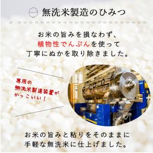 【11時までのご注文で即日発送!!】お米 2k...の詳細画像5