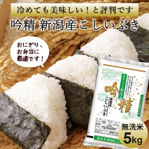 【45％OFF★なくなり次第終了】令和7年産 無洗米 吟精 新潟産こしいぶき 5kg 送料無料 新潟県産 米 お米 5キロ 白米 お弁当 おにぎり セール 売り尽くし 特価