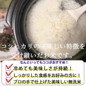 【新米】令和8年産 無洗米 吟精 新潟産こしい...の詳細画像1