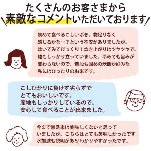 【新米】令和8年産 無洗米 吟精 新潟産こしい...の詳細画像5