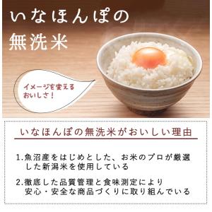 無洗米 新之助 5kg 送料無料 新潟産 令和...の詳細画像4