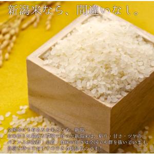 令和7年産 お米 2kg 鮮度保持パック 無洗...の詳細画像1