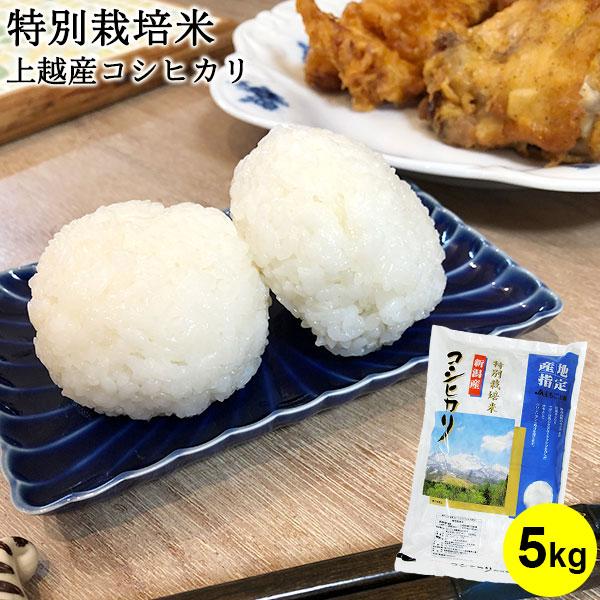 お米 5kg 送料無料 特別栽培米 上越産コシヒカリ 新潟米 JAえちご上越  ギフト 内祝い