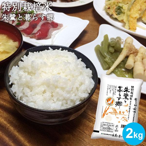 お米 2kg 佐渡産コシヒカリ 特別栽培米 朱鷺と暮らす郷 送料無料 新潟米  ギフト 内祝い 令和...