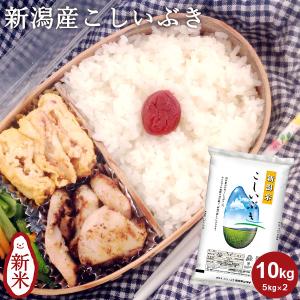 お米 米10kg 送料無料 新潟産こしいぶき 10kg(5kg×2) 令和５年産｜kenbeishop