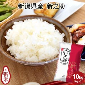 つきあかり 米10kg 新潟県産 大粒で艶やかな 令和7年産 【事業所配送