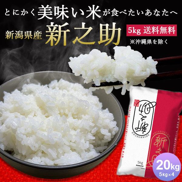 新潟産 新之助 20kg 送料無料 令和7年産 お米 コシヒカリ 新潟米 ブランド米 白米 精米 大...