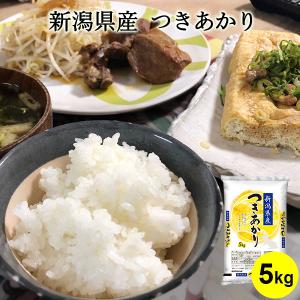 【令和7年産】お米 5kg 送料無料 新潟県産つきあかり お米 白米 自宅用 仕送り 大粒 洋食 白飯  米