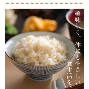 もち麦 国産 600g 雑穀 翌日配送 新潟産...の詳細画像3