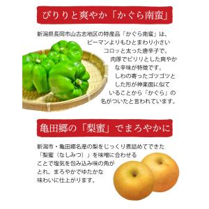 かぐら南蛮味噌 150g|条件付送料無料 みそ...の詳細画像2