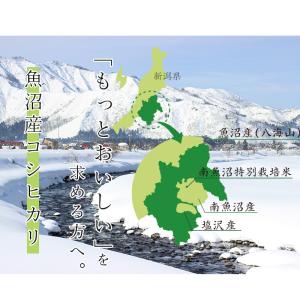 オリジナル無洗米 南魚沼産コシヒカリ 20kg...の詳細画像2