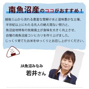 オリジナル無洗米 南魚沼産コシヒカリ 20kg...の詳細画像3
