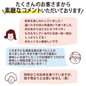 オリジナル無洗米 南魚沼産コシヒカリ 20kg...の詳細画像4