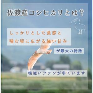 【家計応援!8月お買い得品】オリジナル無洗米佐...の詳細画像3