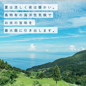 【家計応援!8月お買い得品】オリジナル無洗米佐...の詳細画像4