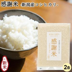 感謝米 2合 300g 条件付送料無料 コシヒカリ 新潟米 プチギフト 内祝 名入れ 結婚 出産 お礼 景品 挨拶 引越 退職 粗品 真空 令和7年産