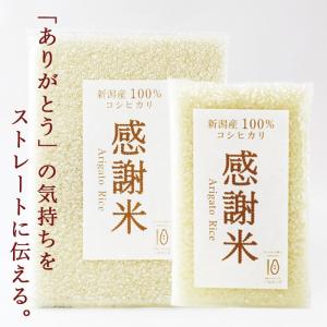 感謝米 2合 300g 条件付送料無料 コシヒ...の詳細画像1
