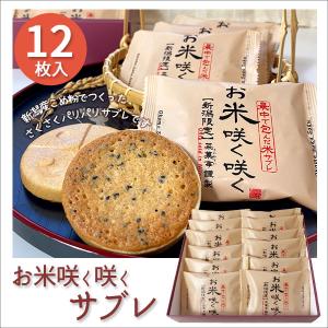 2025年12月出荷分】而今 純米大吟醸 きもと 誕生20周年記念酒「宇奈根