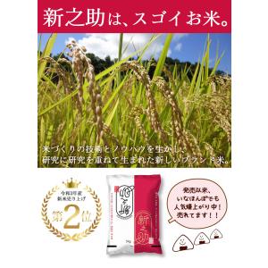 レンジで簡単!新之助1合 150g×24パック...の詳細画像2