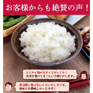 レンジで簡単!新之助1合 150g×24パック...の詳細画像3