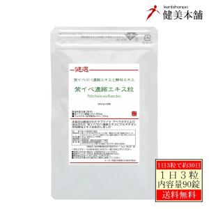 BE-MAX DEPO 90カプセル ビーマックス ザ デポ キレート成分 酵母