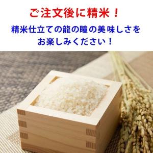 龍の瞳 いのちの壱 3kg 令和7年産米 岐阜...の詳細画像1