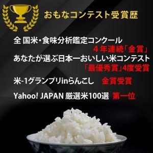 龍の瞳 いのちの壱 3kg 令和7年産米 岐阜...の詳細画像3