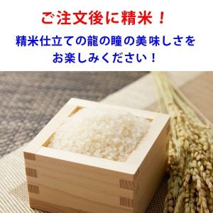 龍の瞳 いのちの壱 5kg 令和7年産米 岐阜...の詳細画像1
