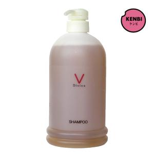ディバイン ナノ ローション 1000ml 頭皮ケア 頭皮 化粧水 乾燥 保湿