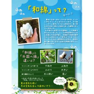 ガーゼハンカチ オーガニックコットン ふわふわ...の詳細画像2