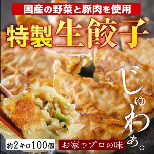 餃子 取り寄せ 送料無料 業務用 冷凍 生餃子 国産素材 時短 お手軽 簡単 大容量 餃子計画 業務用の特製生餃子 100個袋入