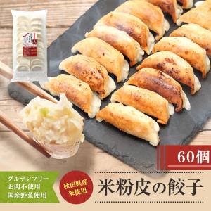 餃子 取り寄せ 送料無料 冷凍 グルテンフリー 米粉 肉不使用 ヴィーガン お手軽 簡単 餃子計画 米粉の皮で包んだギョーザ【肉なし】60個セット