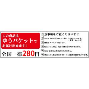 剣道 小手下サポーター 右手 日本製 (ゆうパ...の詳細画像5