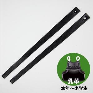 剣道 胴どう胸用 平乳革 2本1組 (ゆうパケットOK)