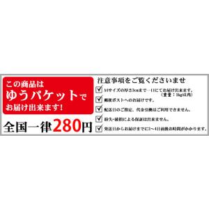 剣道 胴どう胸用 縫乳革 (ゆうパケットOK)...の詳細画像3