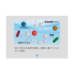 [販売記念特価]剣道防具用除菌消臭水 「Aqu...の詳細画像5
