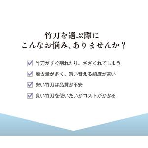 バイオテック普及型 真竹吟風仕組み竹刀「Z」3...の詳細画像2
