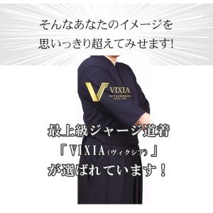 剣道 高級ジャージ VIXIAヴィクシア 剣道...の詳細画像4