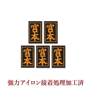 防具刺繍ネーム●小5枚(アイロン貼付け用4枚+胴用両面テープ付1枚)