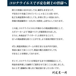 【全剣連推奨用具該当品】 剣道 マスク マウス...の詳細画像2
