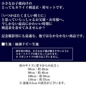【当店10/8出荷予定】剣道着上下 剣道着 上...の詳細画像1